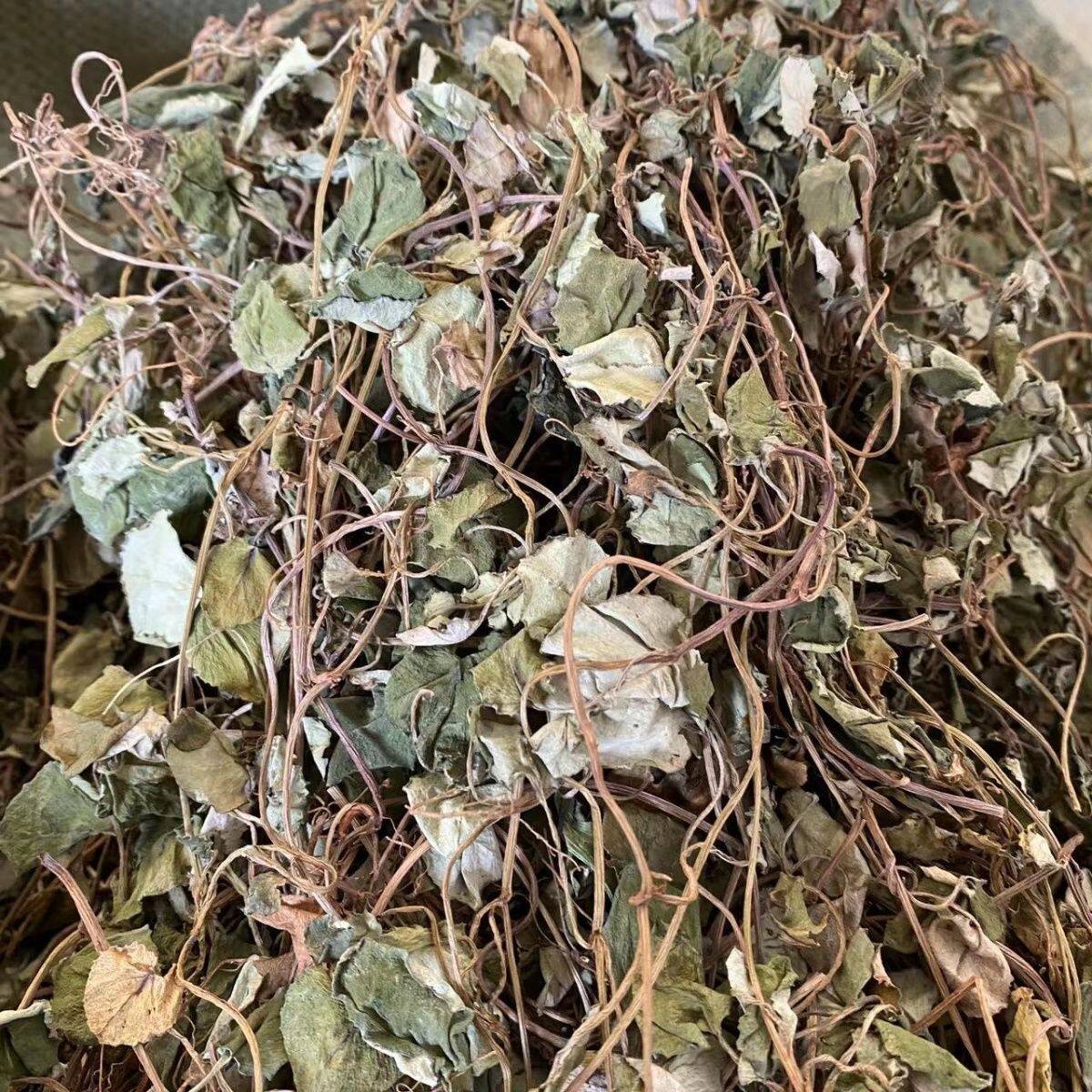 野生大叶金钱草正品新鲜鲜活晒干金钱草正宗小叶金钱草野生过路黄