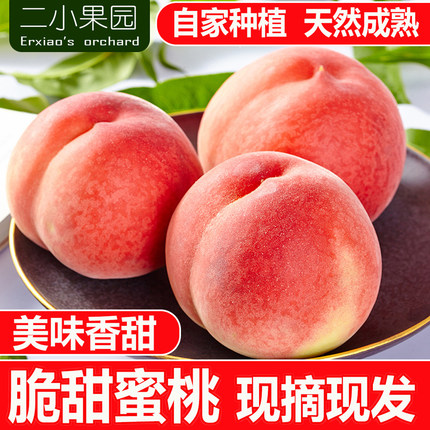 桃子新鲜现摘脆甜毛桃硬桃当季应季山西时令水果春雪蜜桃非水蜜桃