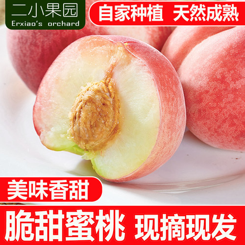 新鲜脆甜蜜桃现摘现发