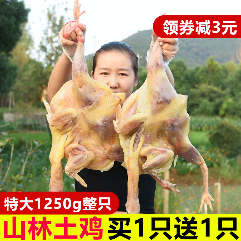 【买一送一】新鲜腌制腊鸡非湖北风干鸡整只咸鸡包邮农家自制特产