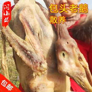 包邮农家自制腊味腌制溧阳周城天目湖散养草鹅风干鹅老鹅咸鹅茅山