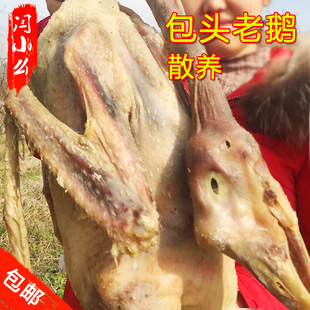 包邮农家自制腊味腌制溧阳周城天目湖散养草鹅风干鹅老鹅咸鹅茅山
