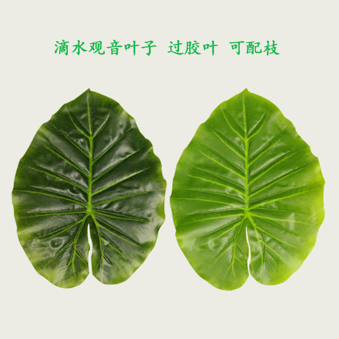 仿真滴水观音叶子树叶叶片假叶仿真植物滴水观音叶子水果叶子装饰
