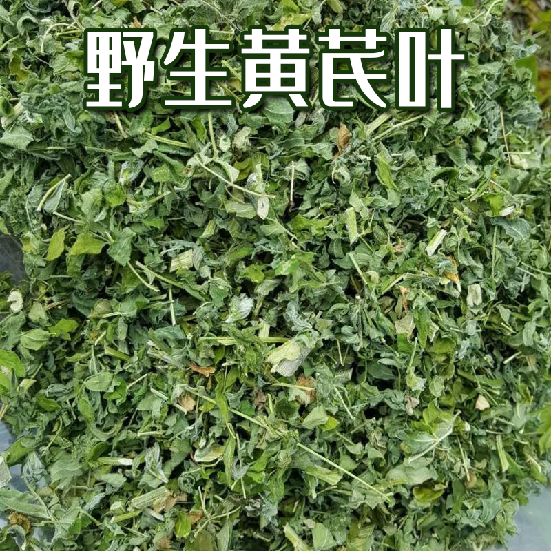 散装产地新货自然晾晒东北大兴安岭无污染野生黄芪叶子茎叶茶500g,传统滋补营养品,黄芪,淘宝优惠券,粉丝福利购,淘宝优惠卷