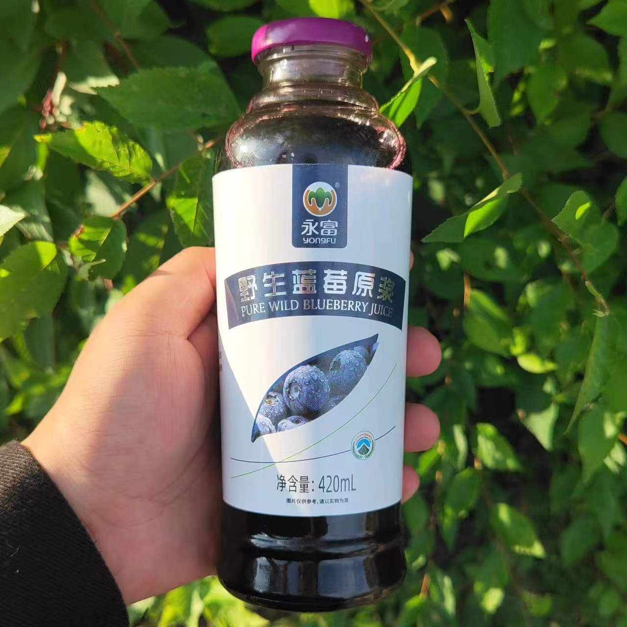 大兴安岭永富蓝莓原浆野生浓汁