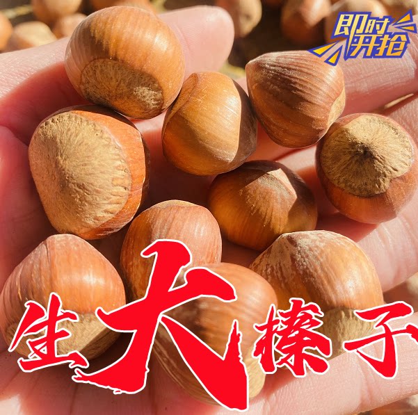 产地特产美国干果坚果野生东北原味生大榛子坚果未加工饱满不开口