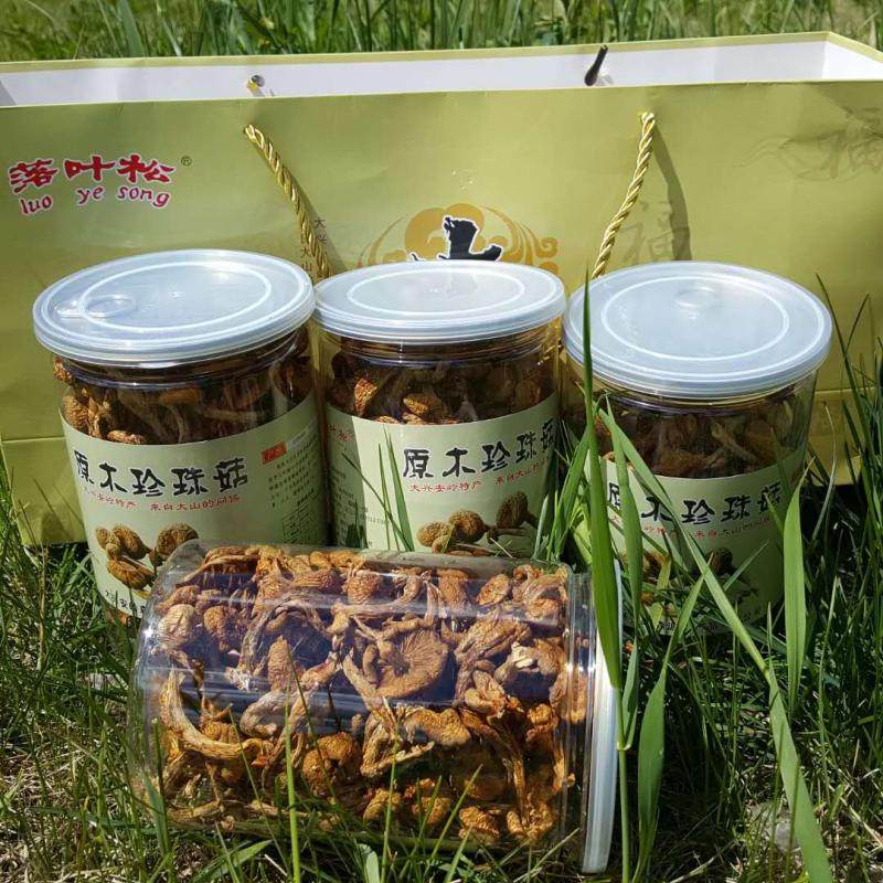 大兴安岭特产滑子菇精装礼100克x4瓶装新货一套包邮煲汤炖菜