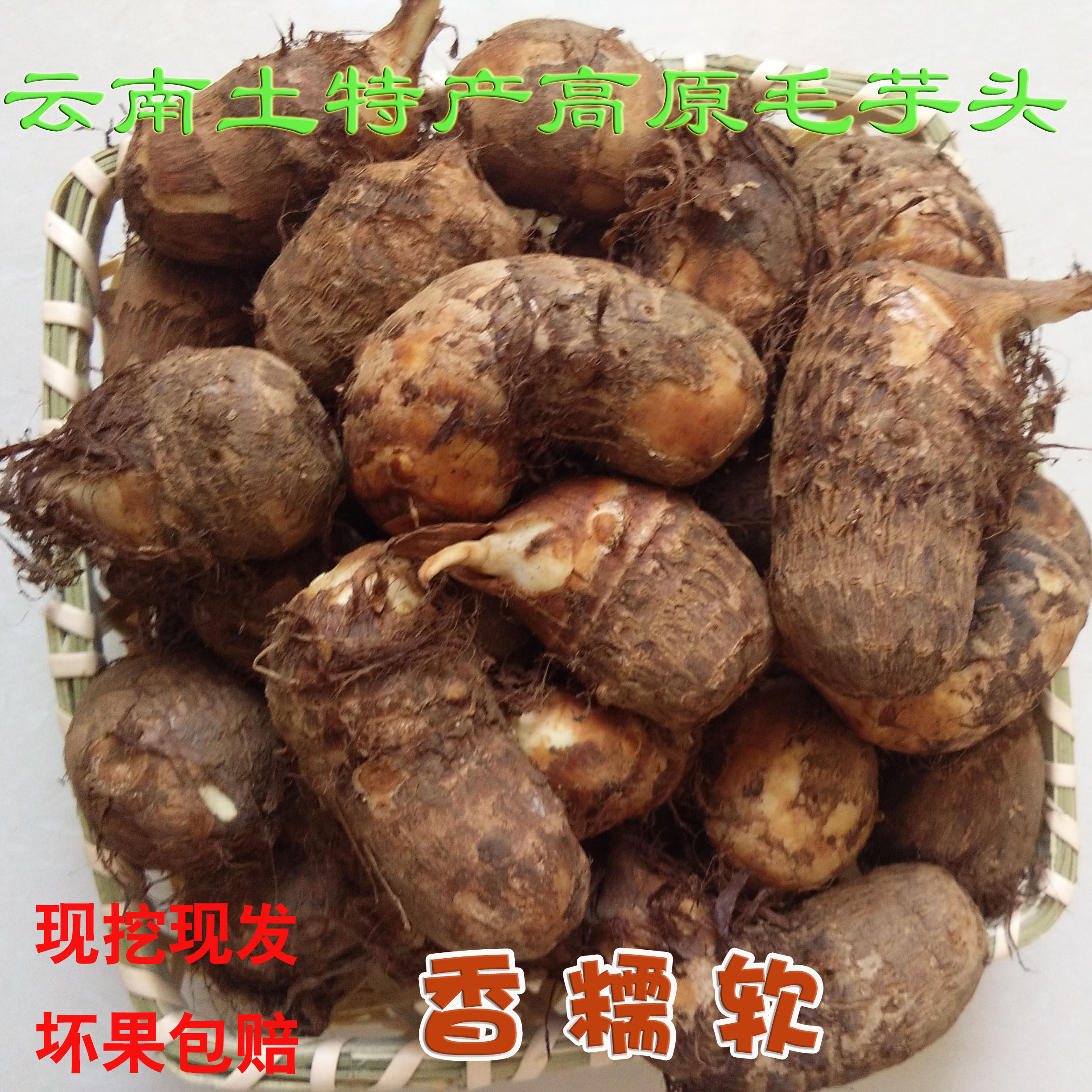 云南毛芋头圆软糯现挖现发