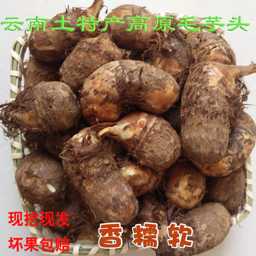 云南毛芋头圆软糯现挖现发
