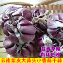 云南紫皮大蒜新鲜丫蒜大蒜头农家本地蒜土蒜红皮小香蒜干蒜头5斤