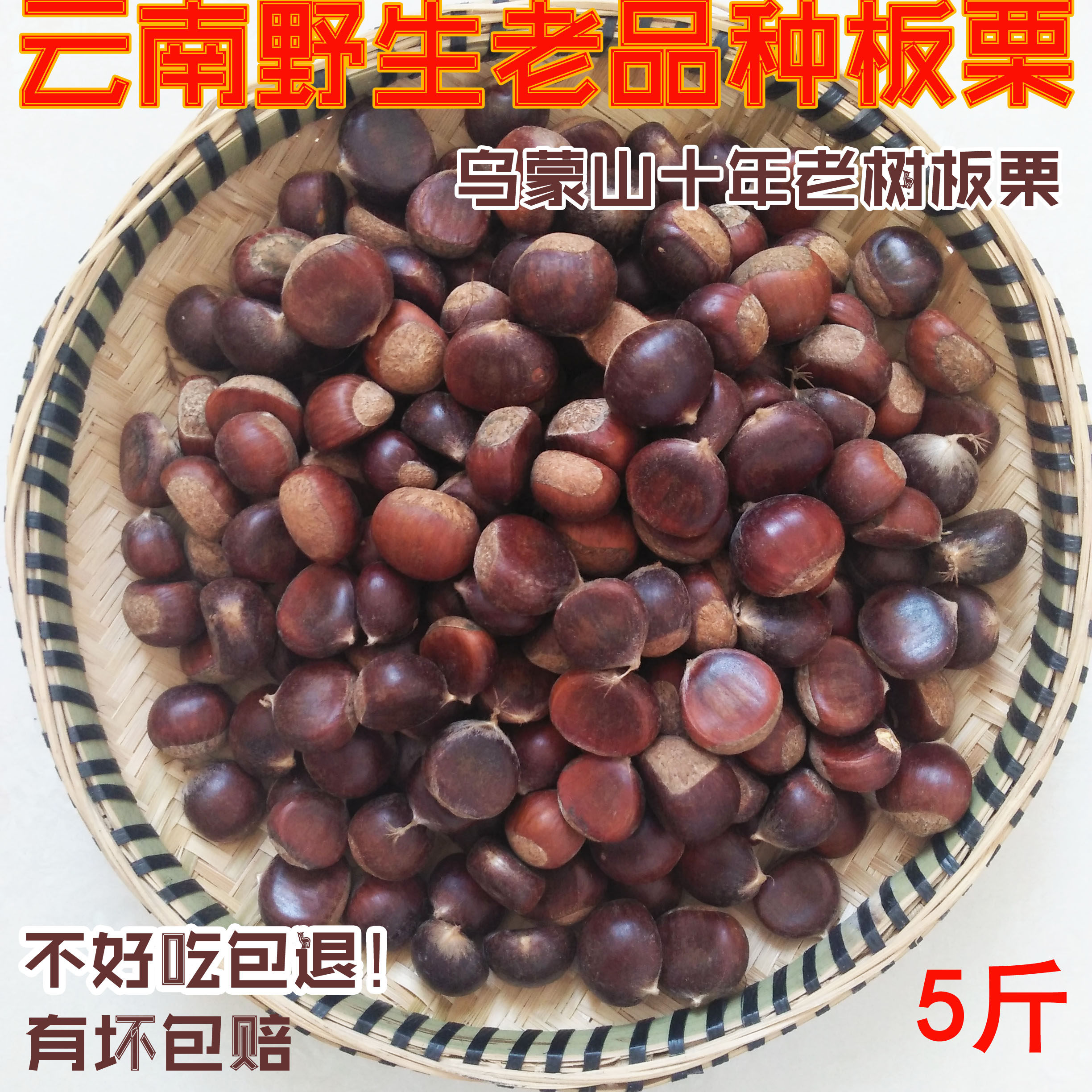 云南野生板栗老品种现摘现发