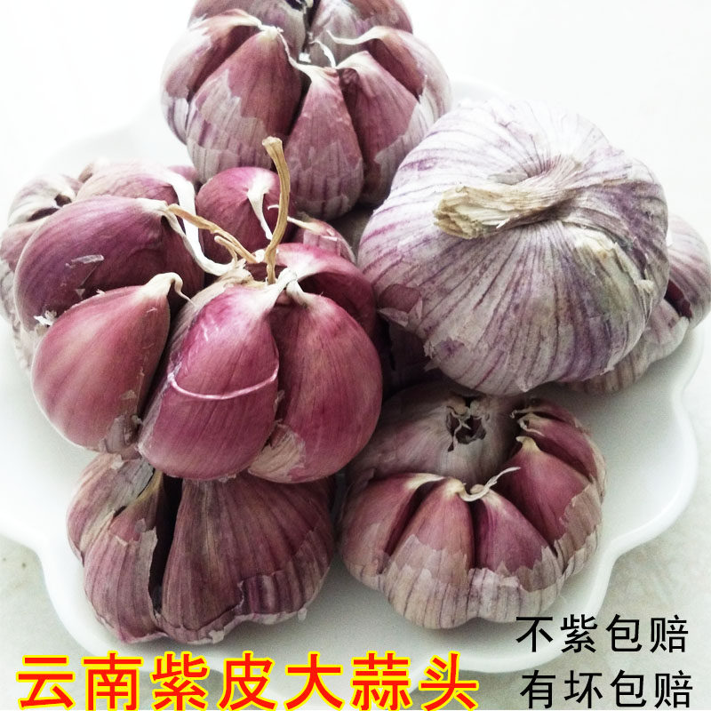 农家大蒜头干蒜5斤新鲜紫皮大蒜红皮小香蒜腌制腊八蒜糖醋大蒜
