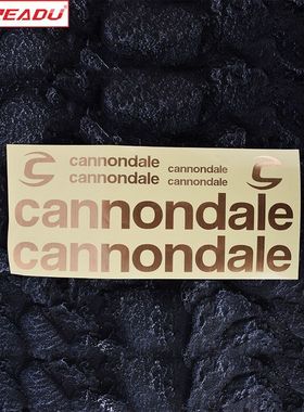 贴纸公路自行车贴cann车架装饰山地车左撇子佳能戴尔