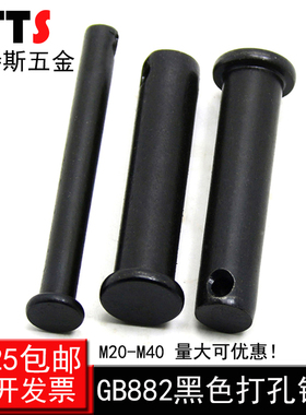 M20-M50 平头GB882带孔定位销 带孔销钉 销轴  M20 M22 M25 M30