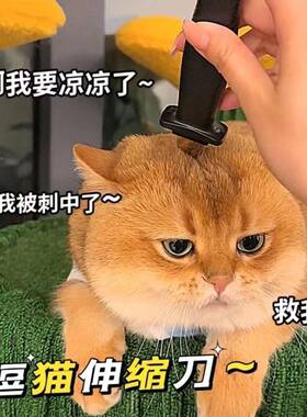 逗猫伸缩刀玩具同款收缩恶搞整人刺刀伸缩假刀表演道具塑料不伤人