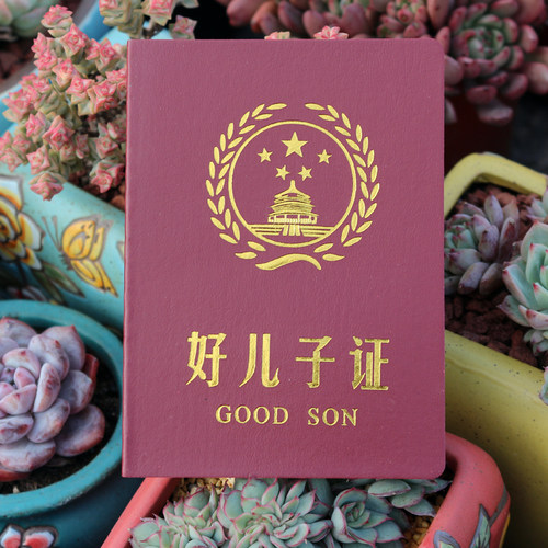 好儿子证搞笑证书个性创意证书