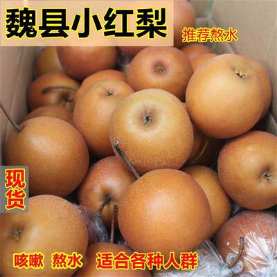 小红梨魏县正宗新鲜水果梨子沙梨酸红皮梨煮水宝宝咳嗽煮水铁皮梨