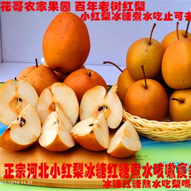 河北魏县小红梨铁梨新鲜孕妇水果5斤沙梨子酸甜冰糖煮水咳嗽