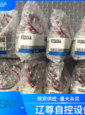 VX2A0AA只售全新原装SMC电磁阀线圈头两通阀DC24V新款假一罚十
