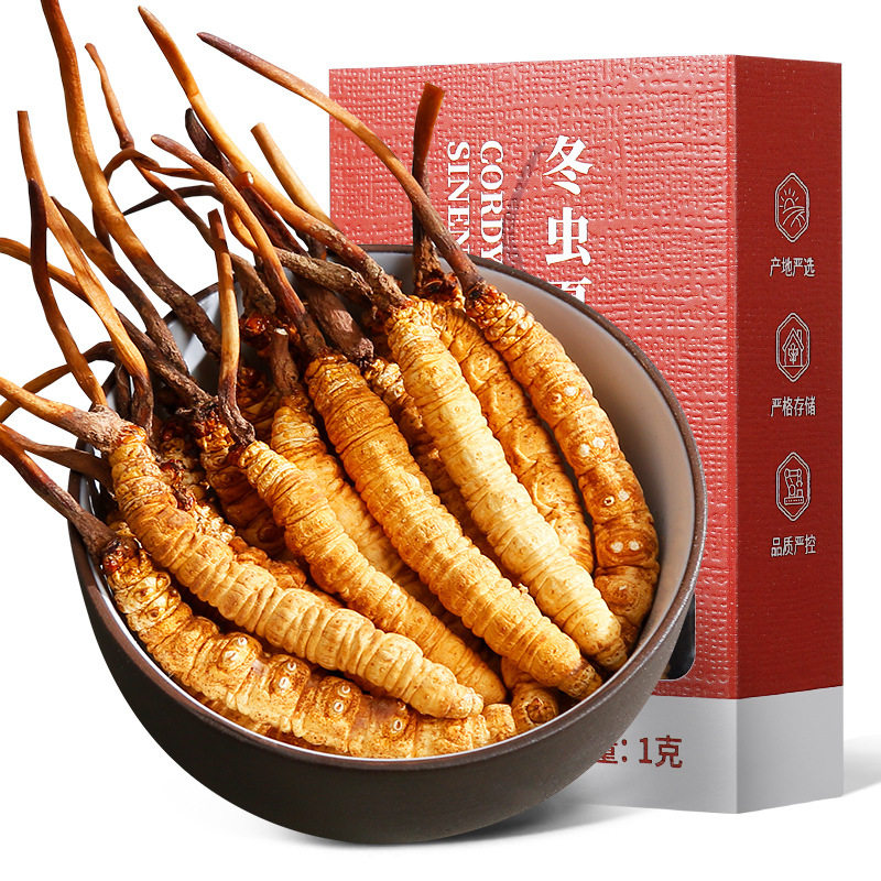 【顺丰包邮】杞里香冬虫夏草青海玉树正品冬虫草滋补品年货礼盒