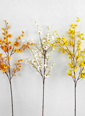 橙色黄色白色进口仿真跳舞兰美式现代样板房客厅餐桌电视柜花