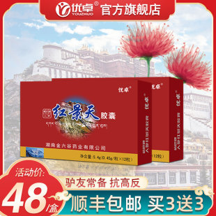 红景天胶囊西藏旅游泡茶抗高原反应抗高反红景天口服液携氧片
