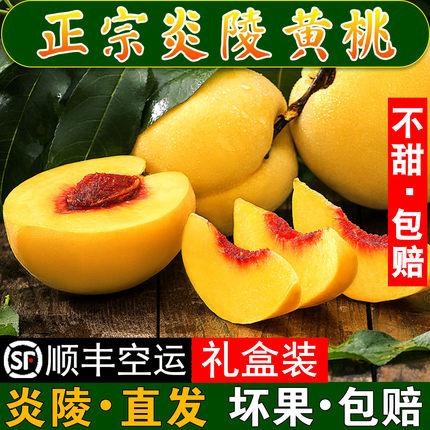 正宗炎陵黄桃新鲜水果孕妇小孩10斤现摘现发锦绣红心桃子湖南特产
