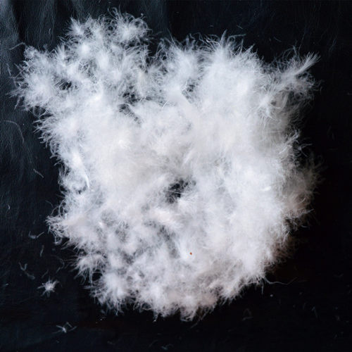 散装原料大朵半成品专用羽绒