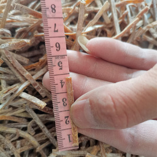 日式拉面笋干 粤北特产 竹笋丝 笋干 干货笋干 嫩笋丝 拉面干笋丝