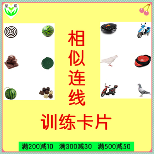 相似连线 自闭症 发育迟缓 孤独症 特教教具 训练干预卡片