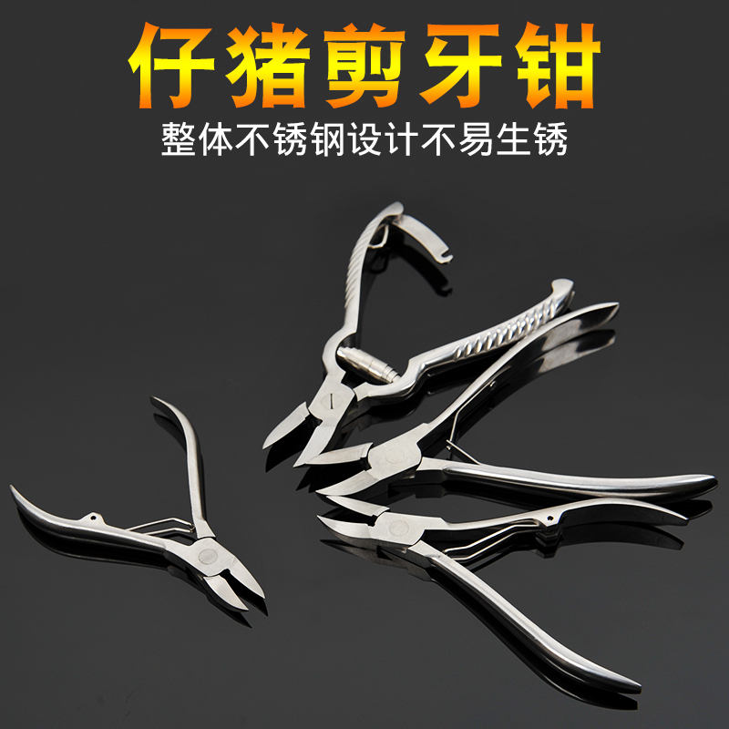 不锈钢剪齿钳小型器械猪仔