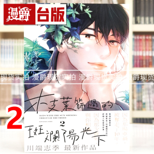 现货 漫爵 枝叶筛过的斑斓阳光下2 台版漫画书 东贩 川端志季 翱翔于天际的夜鹰作者 进口原版