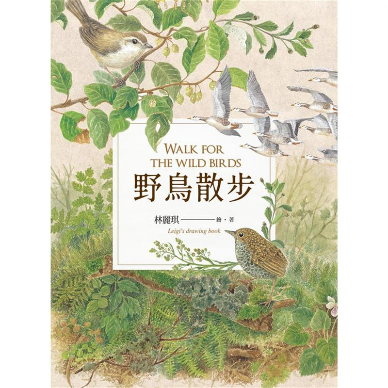 野鸟散步春山林丽琪台版