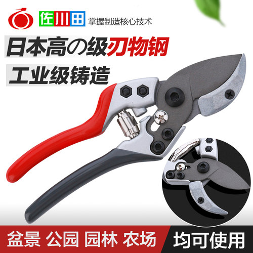 家用园艺果树修枝剪 果树粗枝剪刀盆景剪葡萄藤专用剪进口日本钢