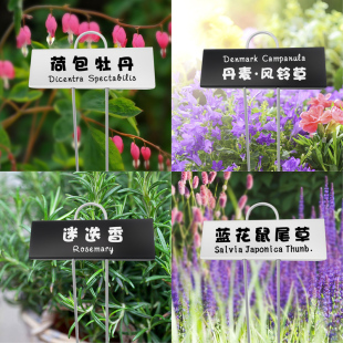 家用园艺植物金属标签花境标牌花名牌定制标识牌花径插牌防水印字