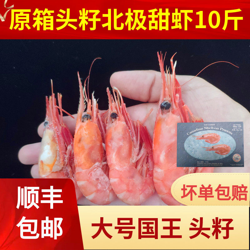 新货大号野生头籽北极甜虾10斤加拿大70-90熟冻冰虾国王新鲜原箱