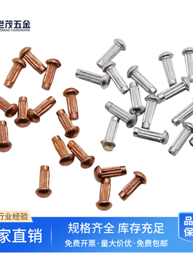 GB827实心紫铜标牌铆钉实芯滚花铭牌铝卯钉纯铜商标蕾丝直纹销钉