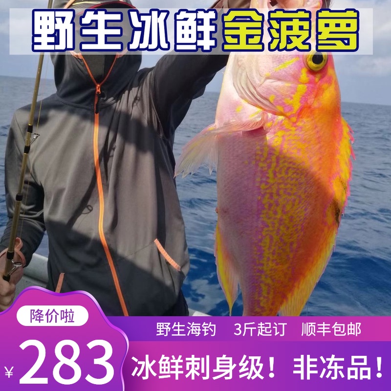 东海钓口野生金菠萝鱼海钓深海鱼速冻新鲜鱼海鲜海鱼