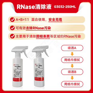 RNase清除液