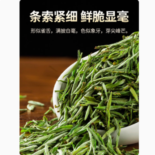 天柱剑毫 舒州天柱茶 正宗安徽安庆潜山天柱山2025新春嫩芽绿茶叶