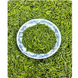 休宁屯溪绿茶 眉茶正宗安徽黄山2025新春嫩芽绿茶叶金银奖贡品茶