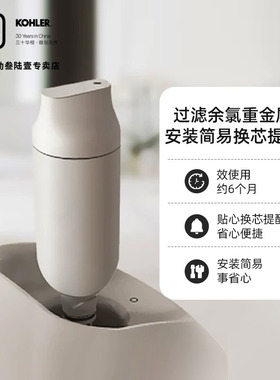科勒马桶过滤棒除菌净水滤芯适配新悦2.0/尚思智能座便器1250837T
