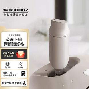 科勒马桶过滤棒除菌净水滤芯适配新悦2.0 尚思智能座便器1250837T