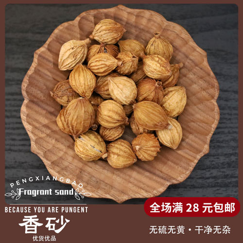 香砂仁50g沙仁川砂仁阳春春烧菜