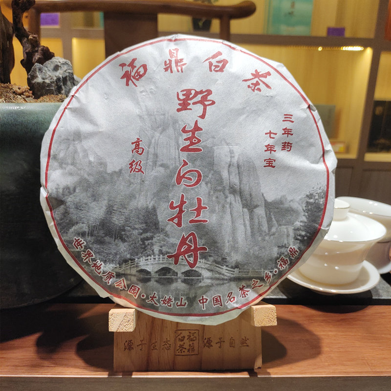 福鼎老白茶 特级2012年野生头春白牡丹饼 产地直销 陈香与甜感足