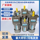 齿轮减速电机带调速慢速变速马达交流380v220v6W60W120W250W750W