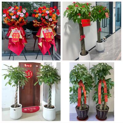 唐山市丰南丰润区滦县滦南县同城鲜花店新店开业花篮公司乔迁开张