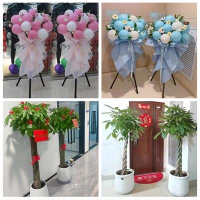上海市徐汇区枫林长桥田林街同城鲜花店新店开业花篮公司乔迁开张