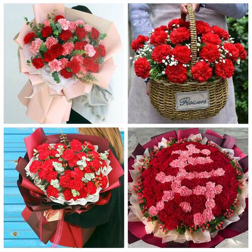 送昆明市禄劝县寻甸县安宁市同城鲜花店送长辈父母亲节康乃馨花束