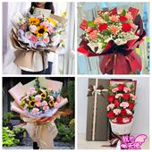 宝鸡市岐山县扶风县眉县陇县同城鲜花店38女王节康乃馨送妈妈婆婆